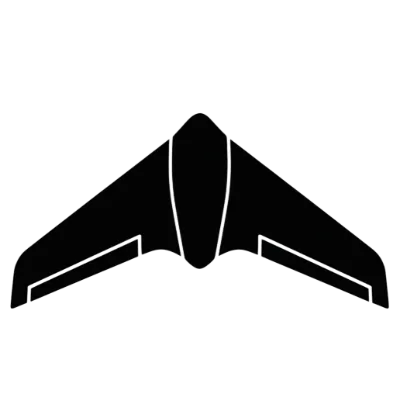 Nurflügler Flying Wing
